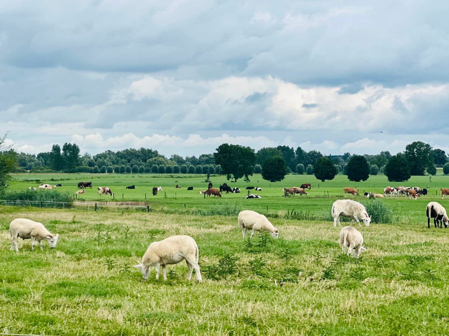 De échte Ronde van Overijssel