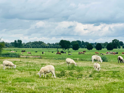 De échte Ronde van Overijssel